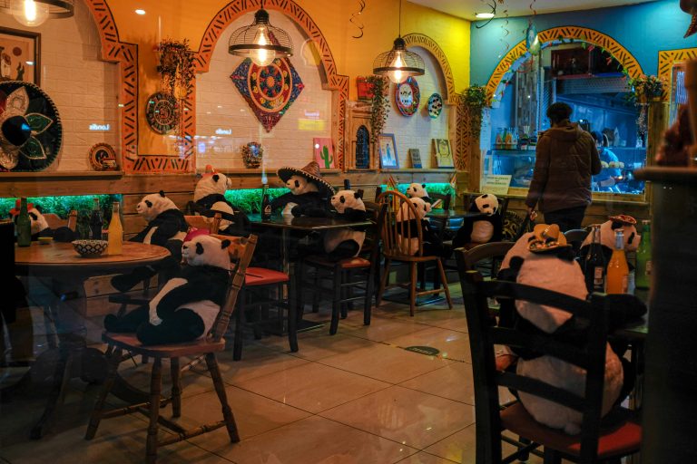 Best Mexican restaurant near New York City